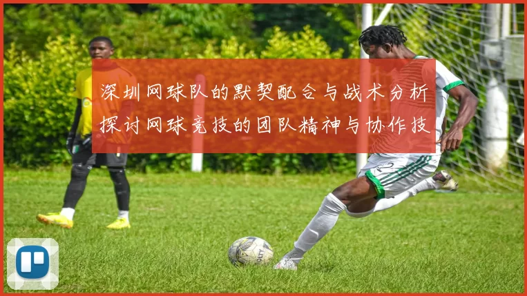 深圳网球队的默契配合与战术分析探讨网球竞技的团队精神与协作技巧