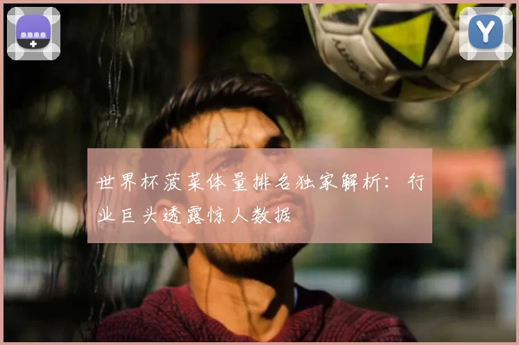 世界杯菠菜体量排名独家解析:行业巨头透露惊人数据