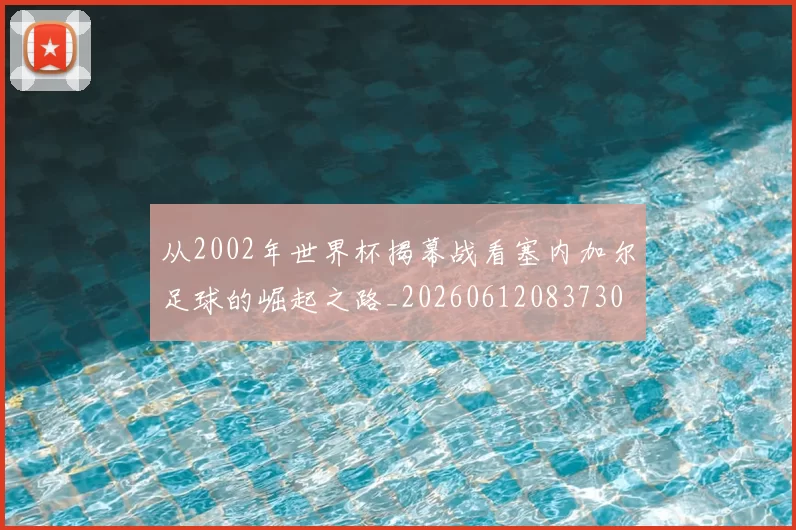 从2002年世界杯揭幕战看塞内加尔足球的崛起之路_20260612083730