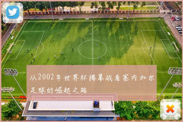 从2002年世界杯揭幕战看塞内加尔足球的崛起之路