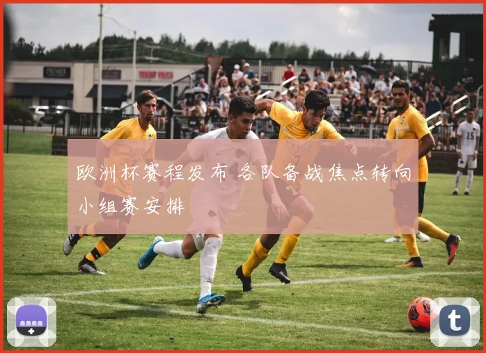 欧洲杯赛程发布 各队备战焦点转向小组赛安排