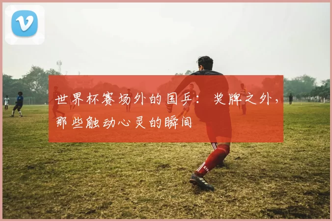 世界杯赛场外的国乒:奖牌之外,那些触动心灵的瞬间