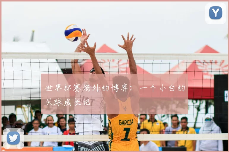 世界杯赛场外的博弈：一个小白的买球成长记