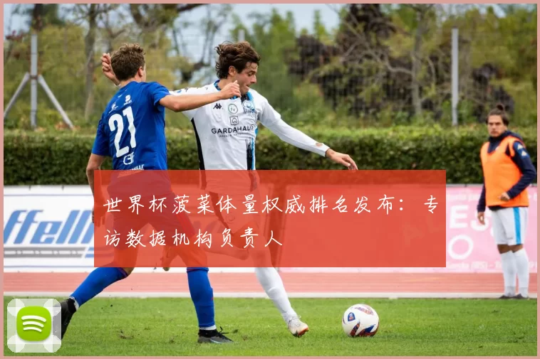 世界杯菠菜体量权威排名发布:专访数据机构负责人